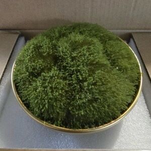 Target Green Moss Decorative Bowl with Gold Rim